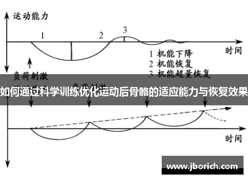 如何通过科学训练优化运动后骨骼的适应能力与恢复效果